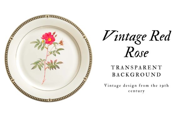 Download Vintage Red Rose Scrapbooking Design - Scrapbooking Collection